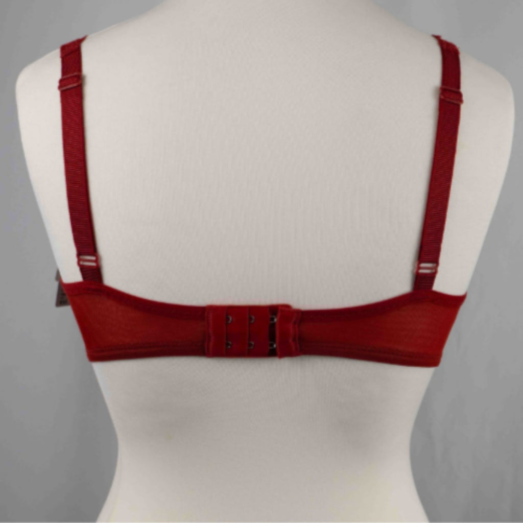 Triumph Red Amourette 34E Charm Bra NWT