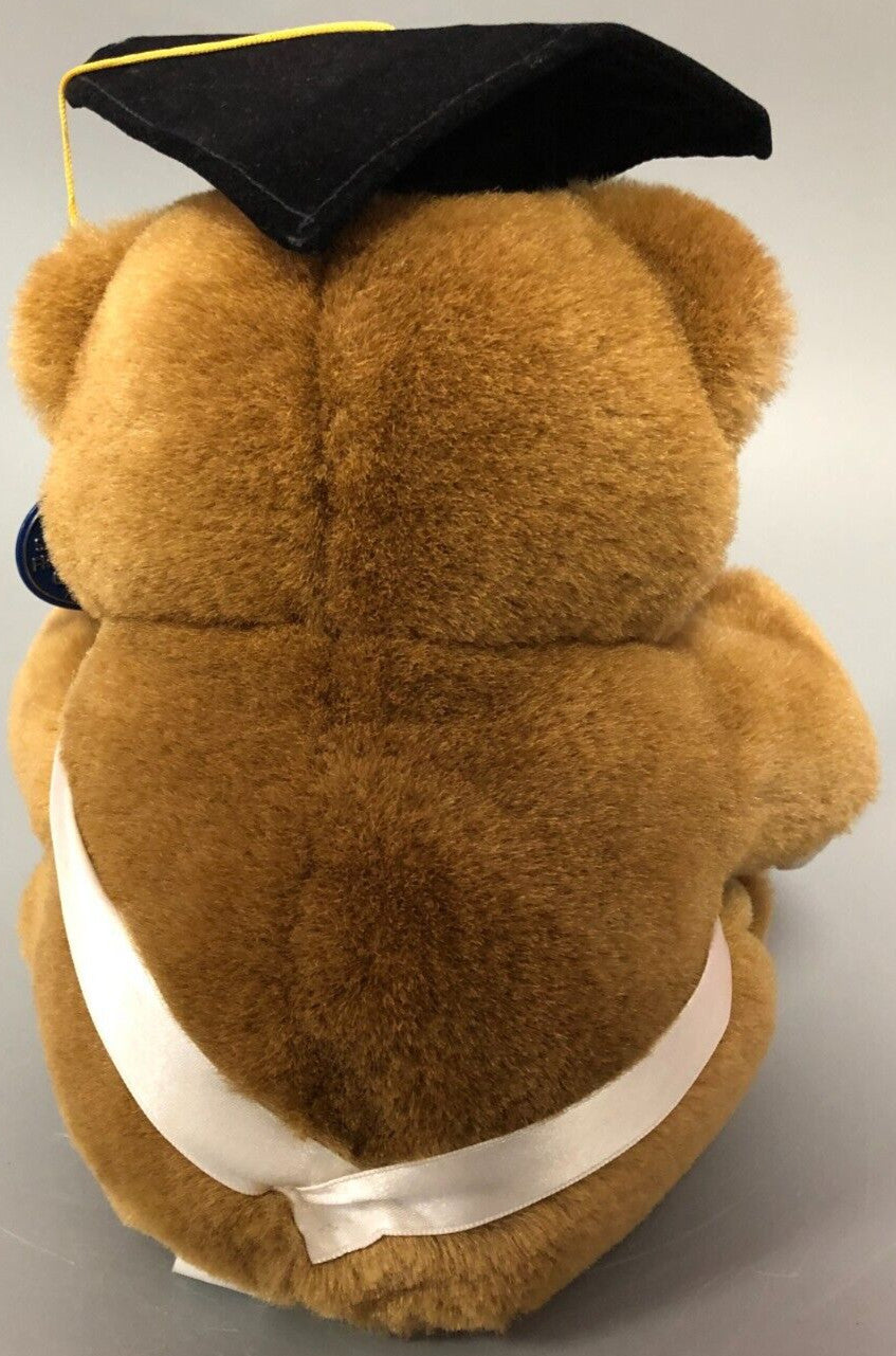 D.S.N 'Good Luck' Graduation Teddy Bear Brown 22cm Pre-Owned