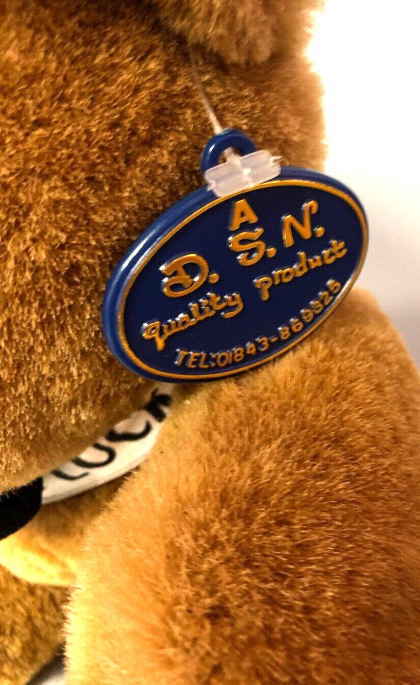 D.S.N 'Good Luck' Graduation Teddy Bear Brown 22cm Pre-Owned