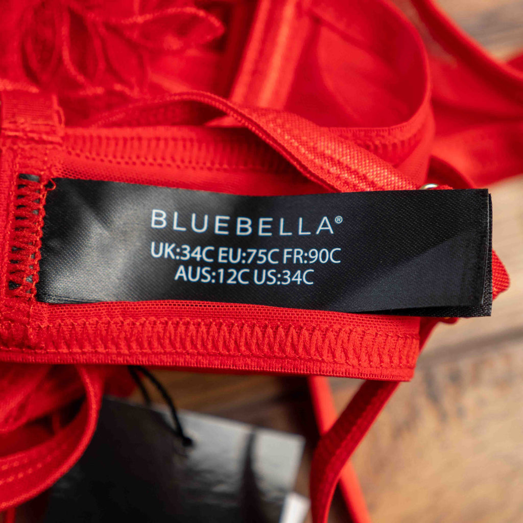 Bluebella red wired body with sheer mesh panels and floral embroidery details.