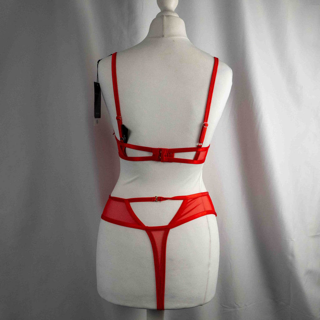 Bluebella red wired body with sheer mesh panels and floral embroidery details.