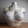 Fantasie white underwire bra size 36E with adjustable straps and supportive cups.