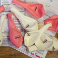 Pack of 10 Balloons