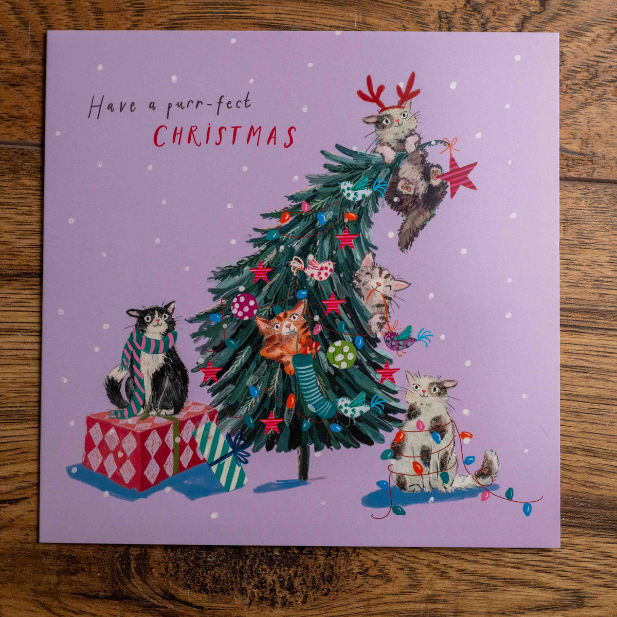 'Purrfect Christmas' Charity Christmas Cards